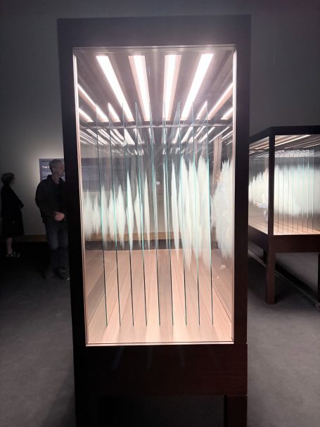 Durchsichtiger Kasten mit vertikalen Linien, beleuchtet von oben, im Ausstellungsraum.