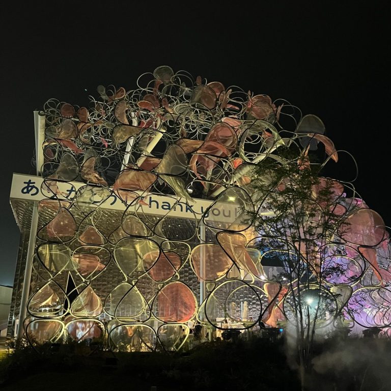 Bunt beleuchtetes Gebäude mit kunstvollen, organischen Strukturen bei Nacht.