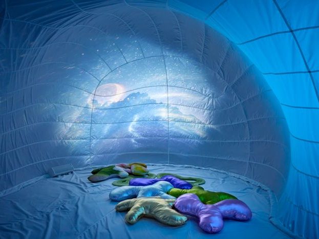 Bunte Seesterne liegen auf einer hellblauen Oberfläche in einem Zeltartigem Raum.