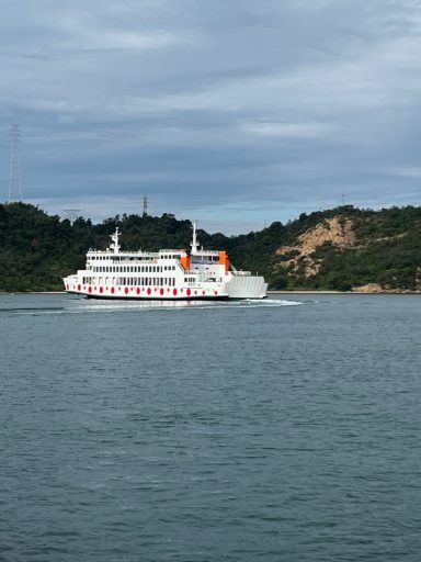 Ein Passagierschiff fährt auf einem ruhigen Gewässer, umgeben von Hügeln.