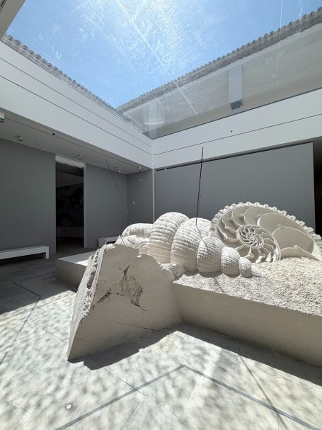Ein Innenhof mit einem großen, weißen Ammoniten-Steinrelief.