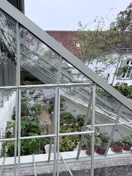 Gewächshaus mit Glasdach und Pflanzen, dahinter rote Dächer